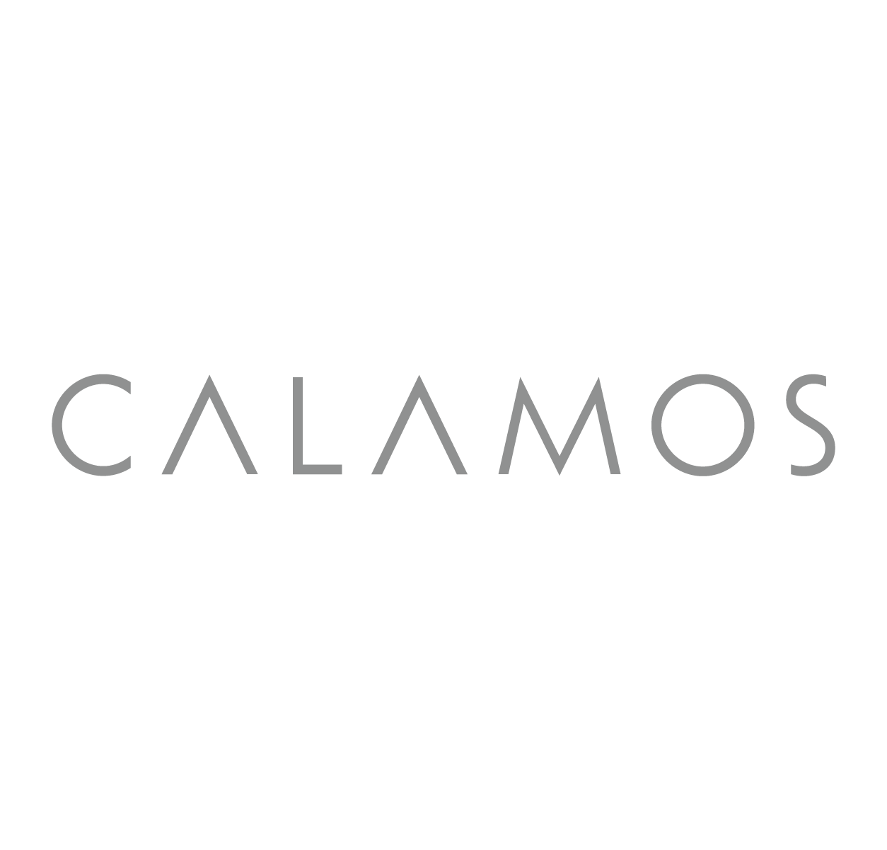 Project image 1 for Identity, Calamos Investments 