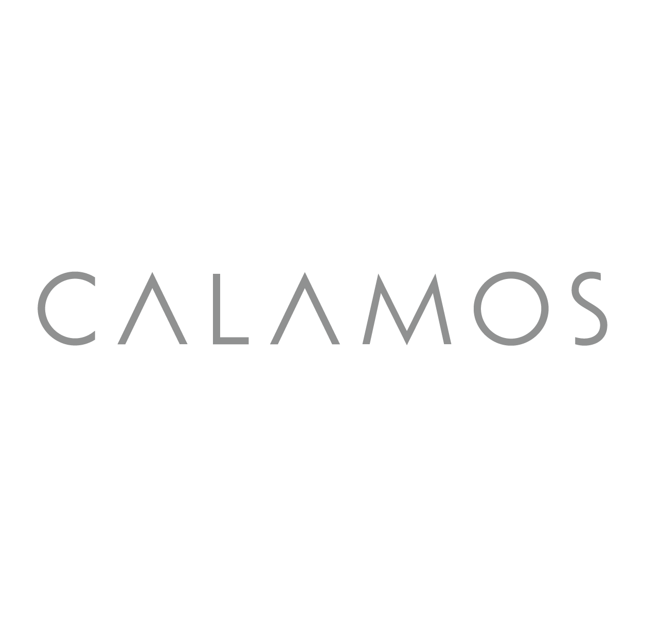 Project image 1 for Identity, Calamos Investments