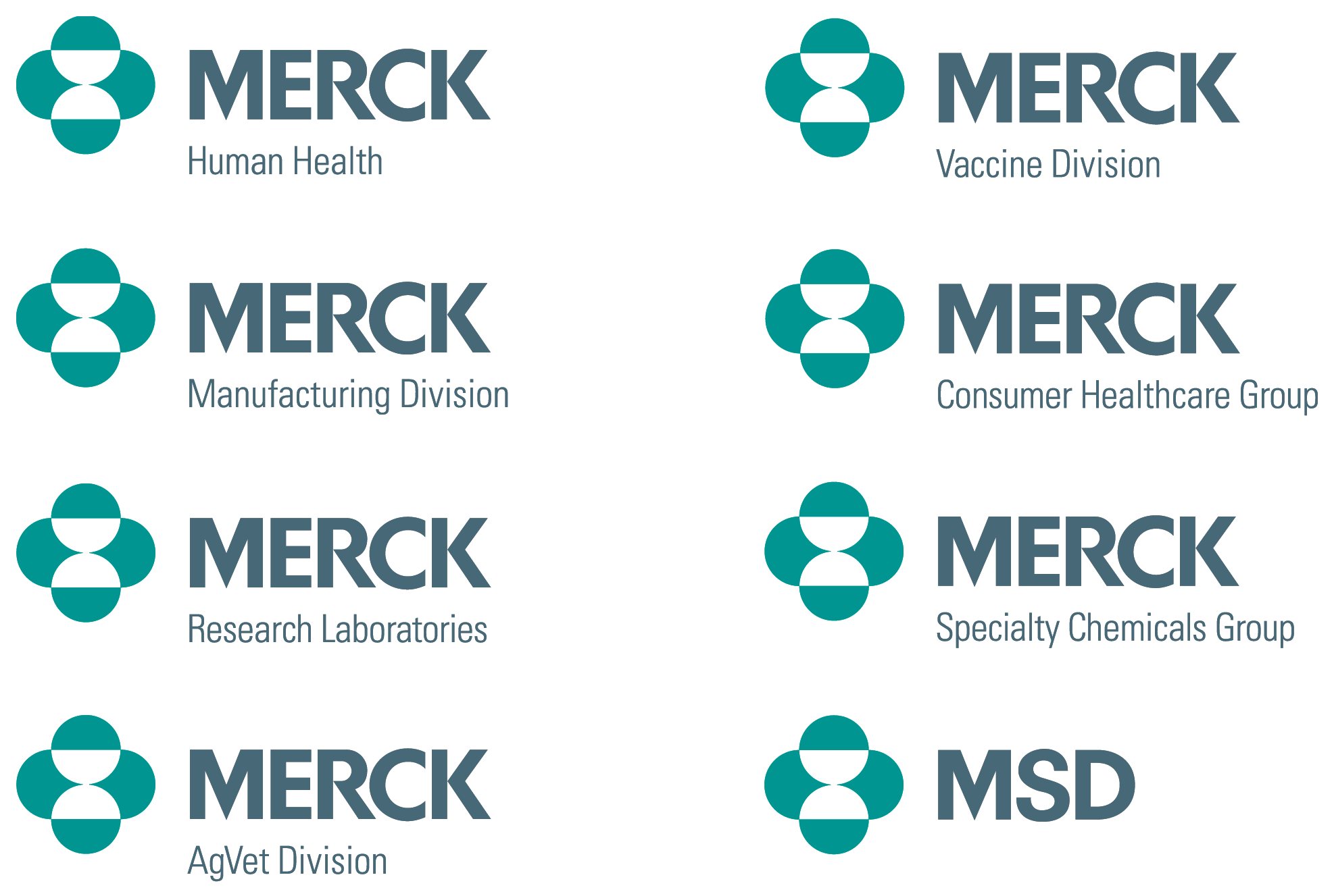 Project image 2 for Branding System, Merck & Co.