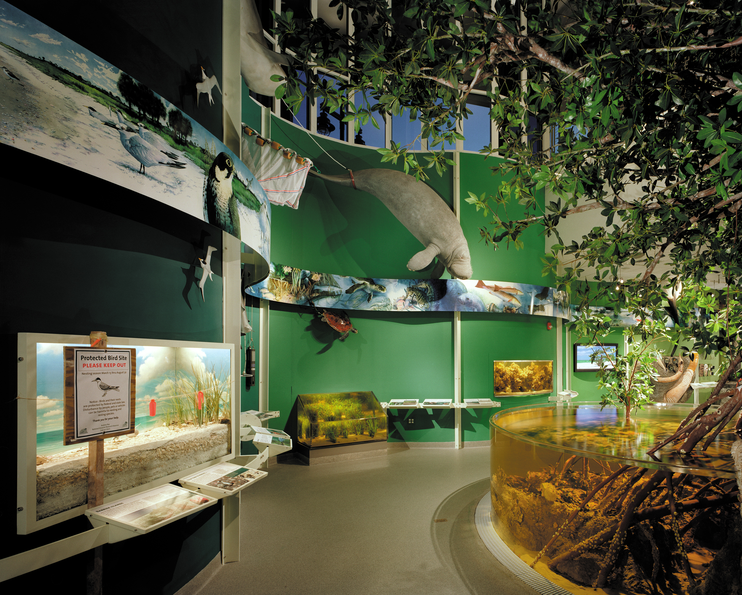Project image 1 for Exhibits at Rookery Bay National Estuarine Reserve, National Oceanographic and Atmospheric Administration