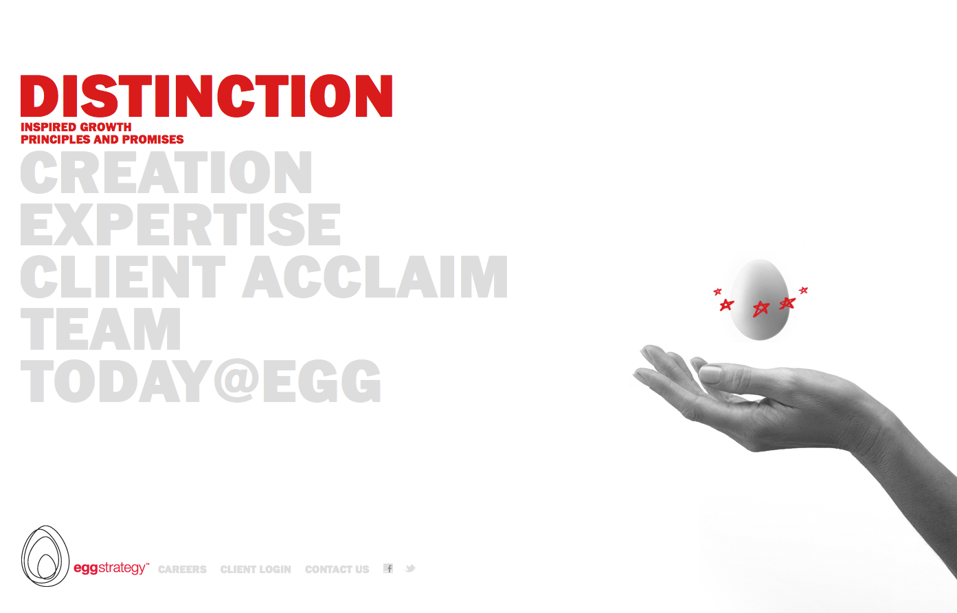 Project image 1 for Website, Egg Strategy