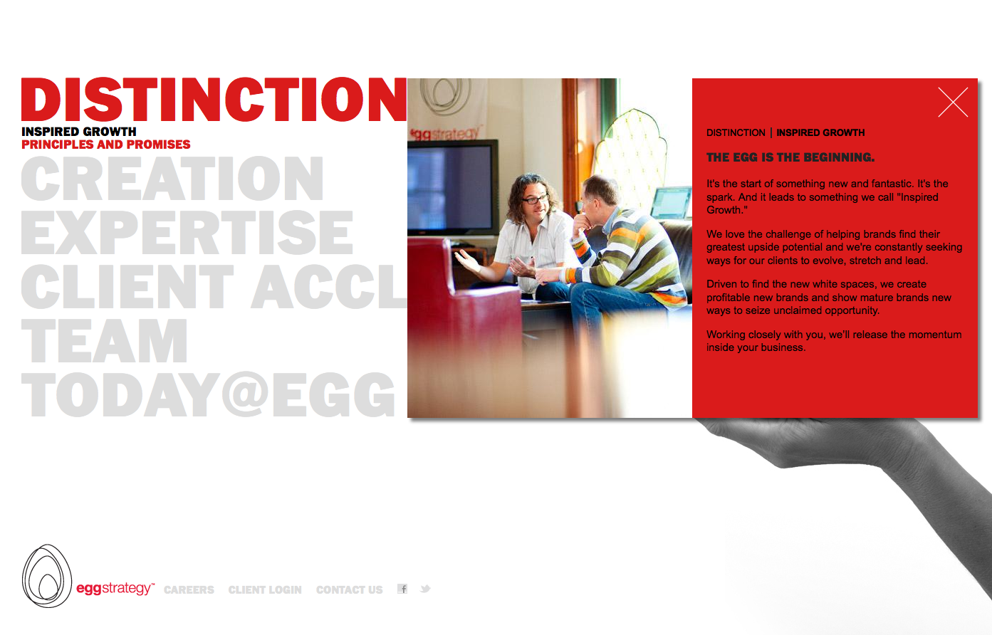 Project image 2 for Website, Egg Strategy