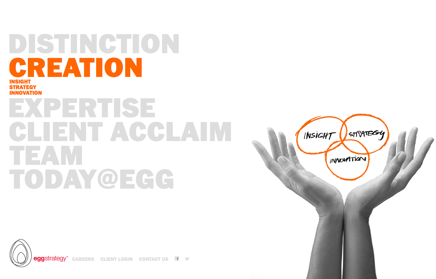 Project image 3 for Website, Egg Strategy