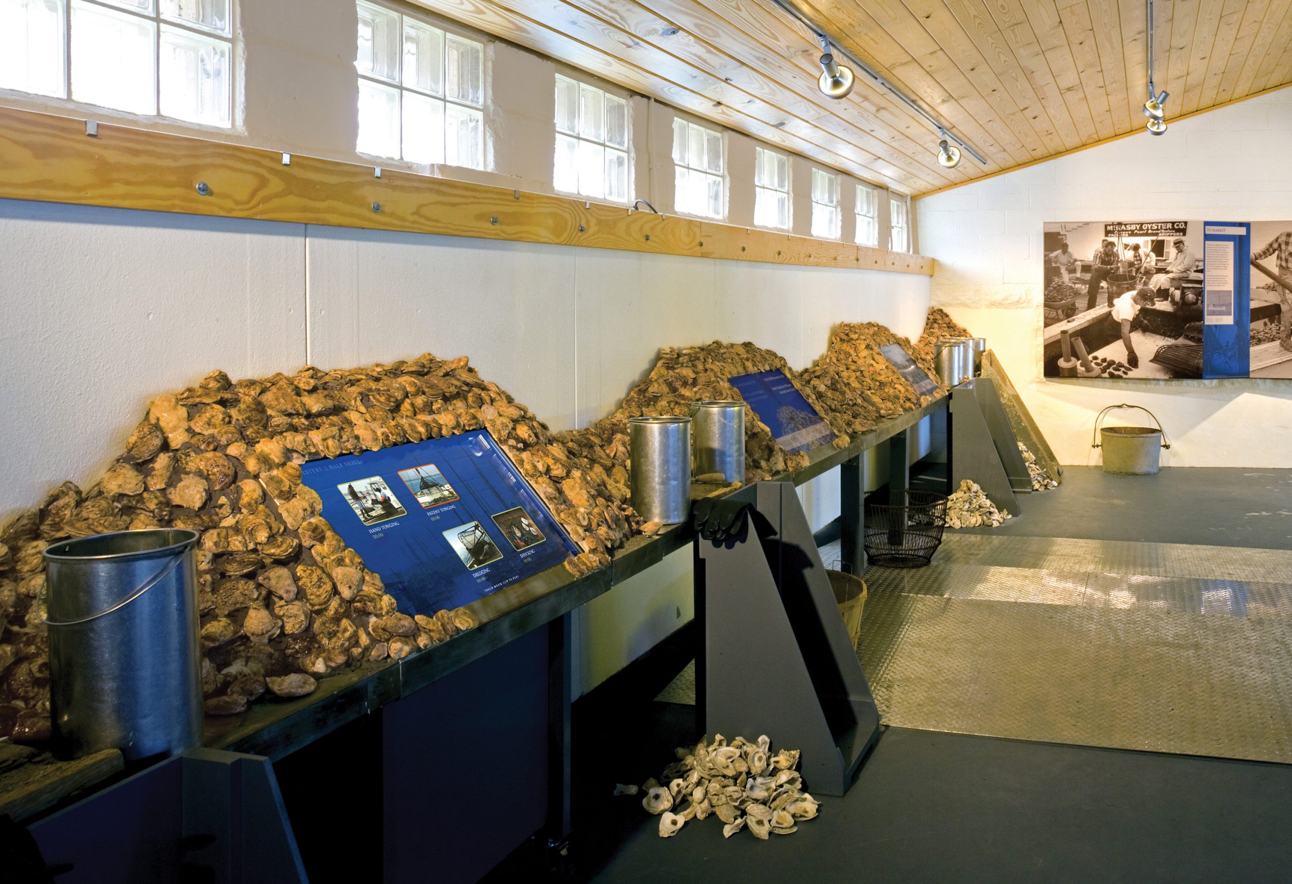 Project image 3 for Oysters on the Half Shell Exhibit, Annapolis Maritime Museum