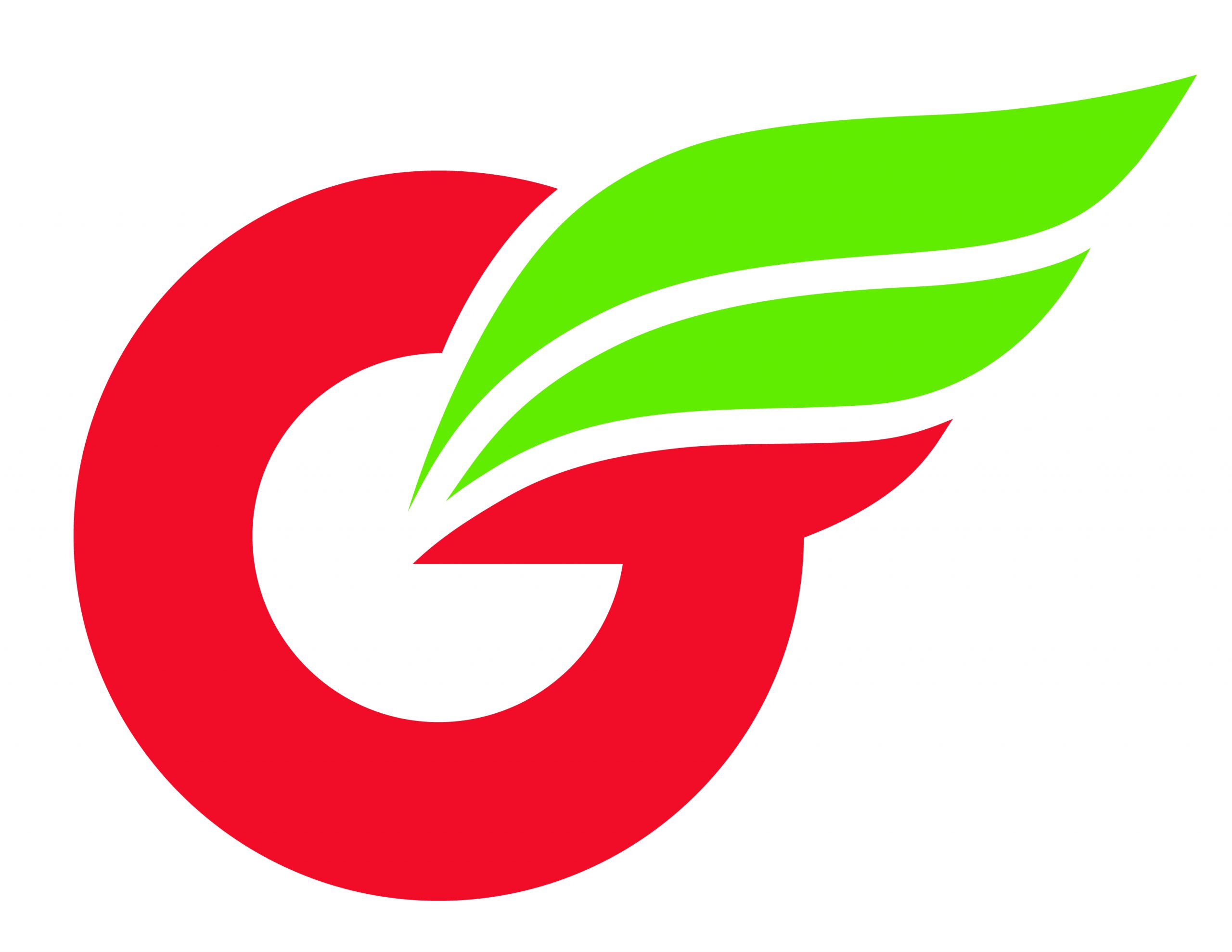 Project image 1 for Identity, Greenwing Motorcycles