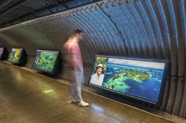 Fresh image 1 from Fresh Project: New York Botanical Garden Tunnel