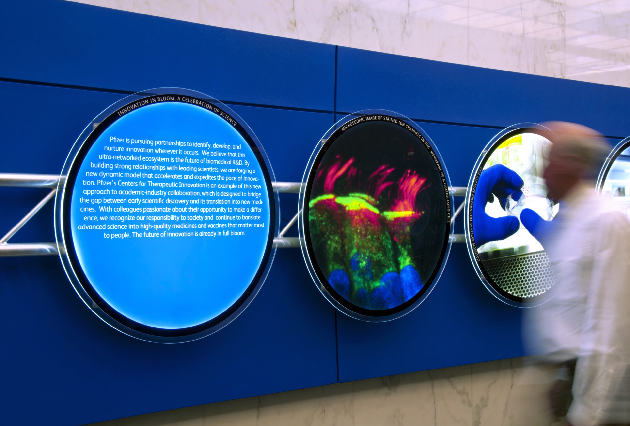 Project Image for Pfizer, Exhibit