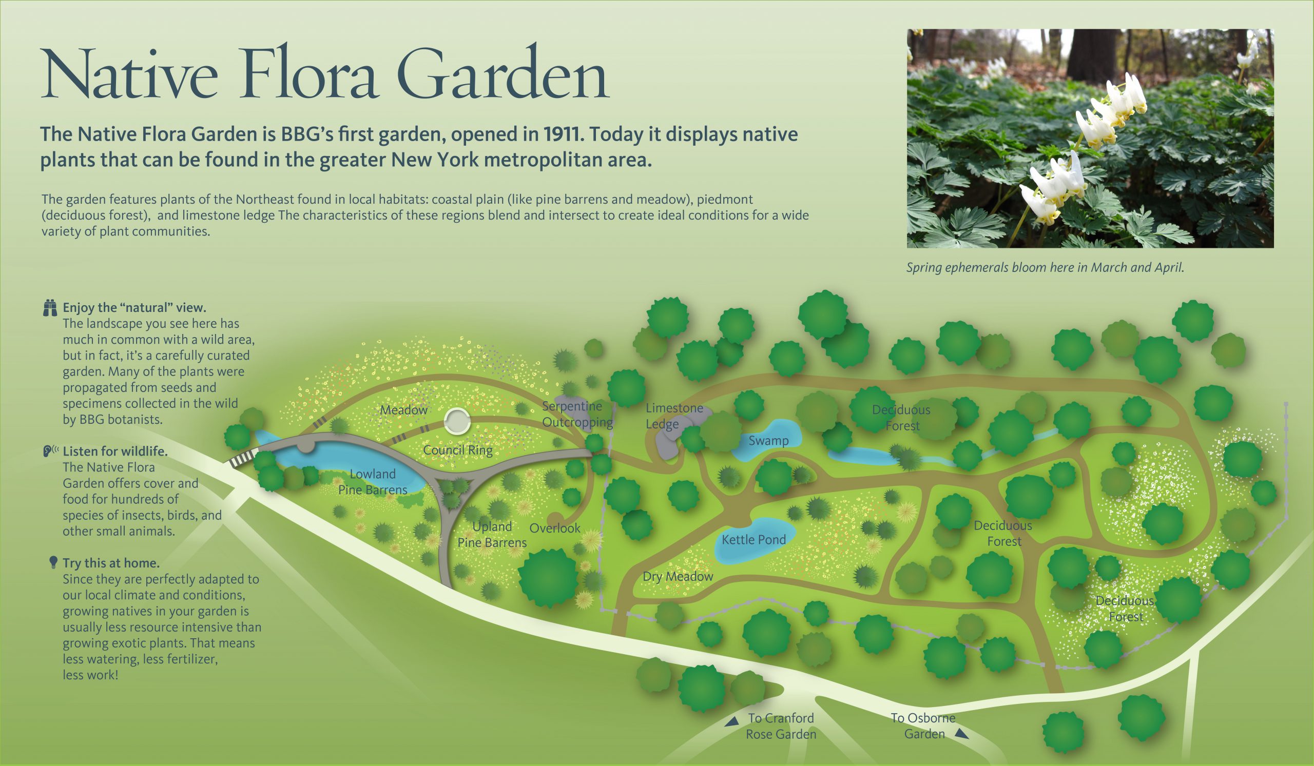 Brooklyn Botanic Project Image NFG