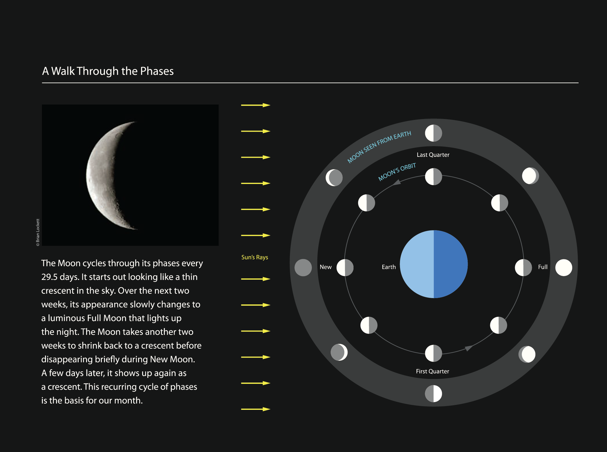 Project image 1 for Infographics, Griffith Observatory