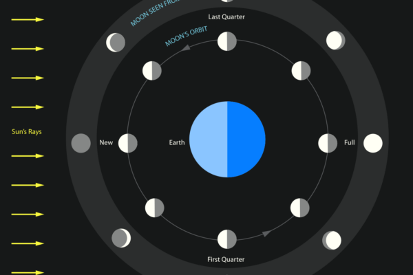 Observatory Data Visualizations — DRAFT