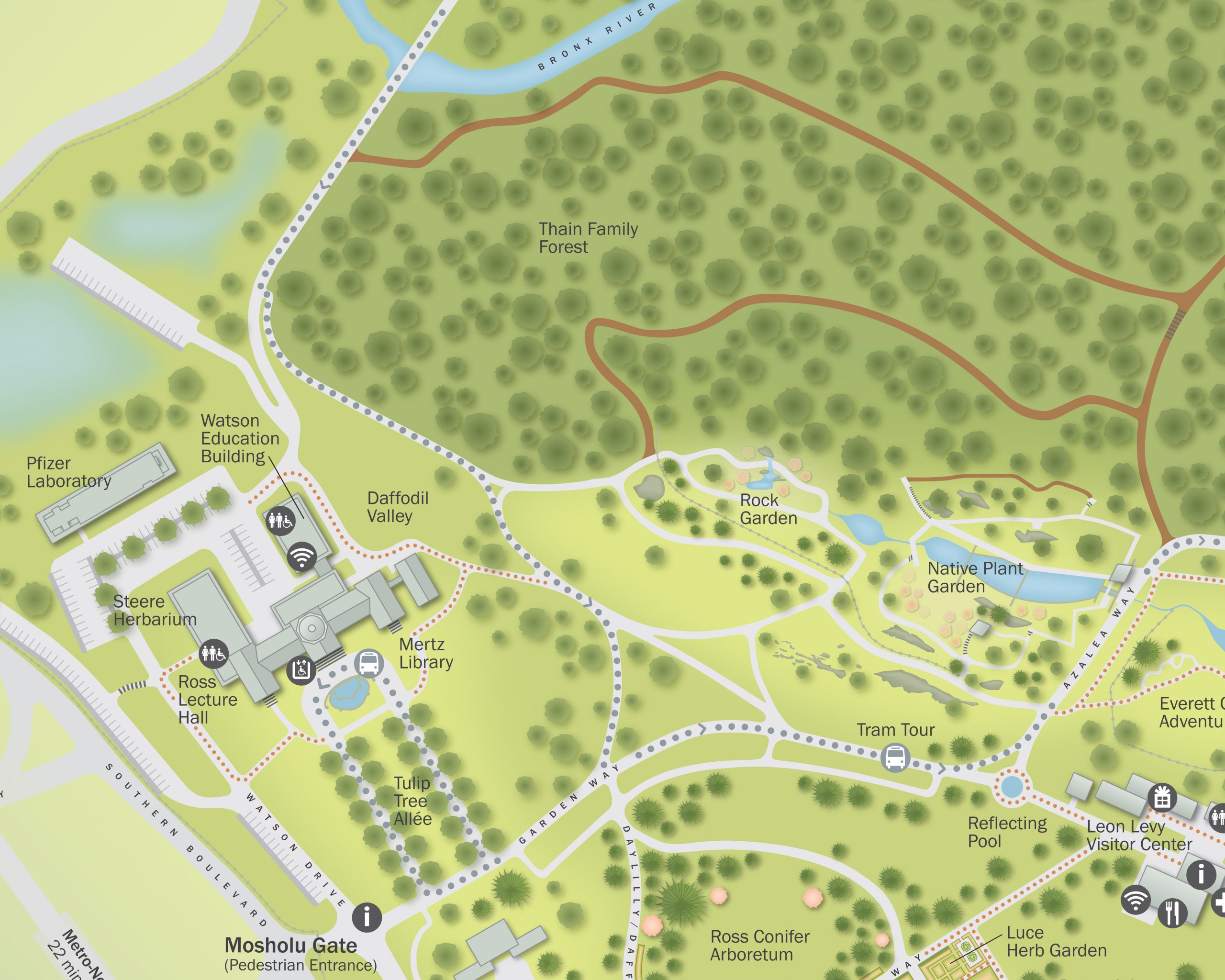 Project image 3 for Infographics, New York Botanical Garden
