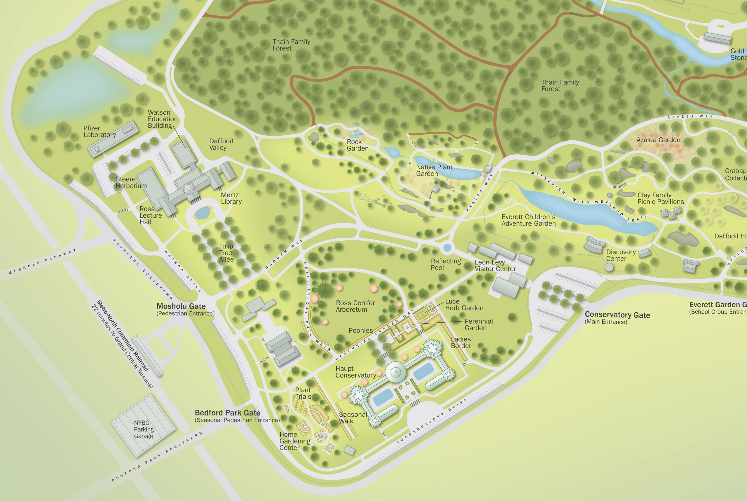 Project image 2 for Infographics, New York Botanical Garden