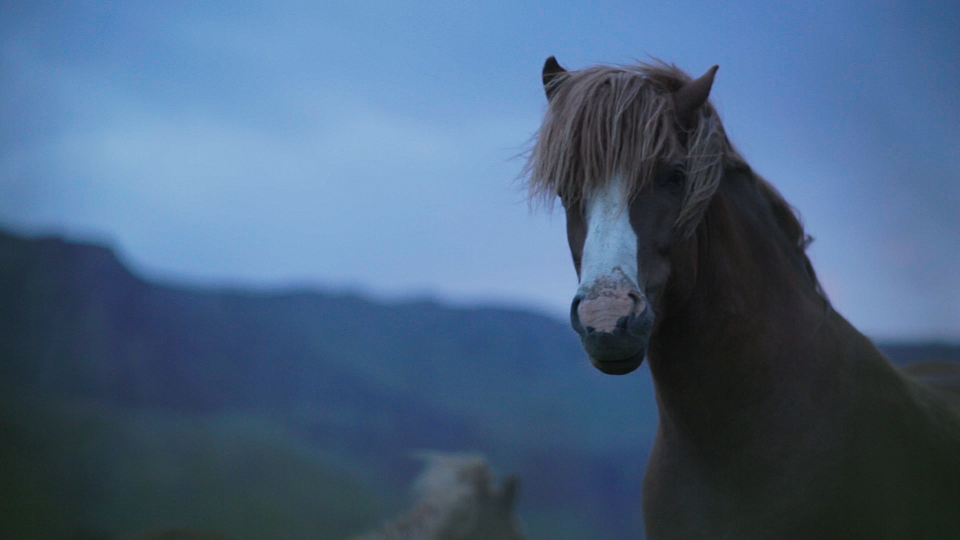 Project Image for If Iceland Could Sing, Nick Fitzhugh