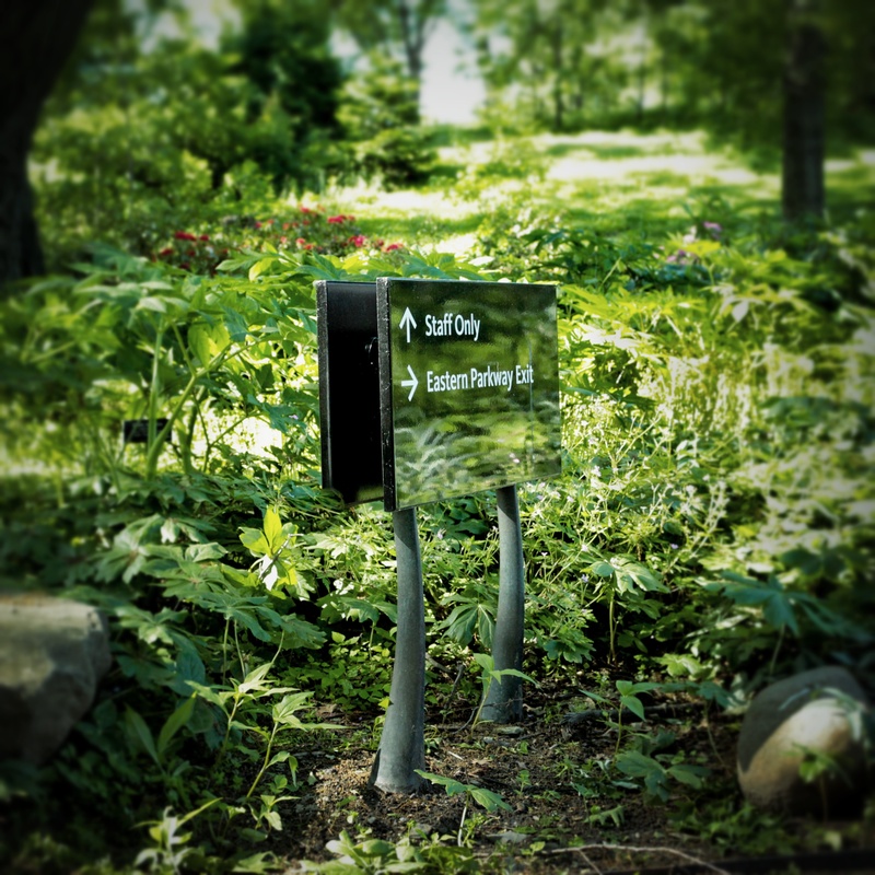 Cover image for Brooklyn Botanic Garden - Signs & Wayfinding