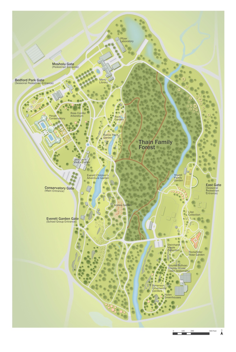 Thain Family Forest Program Maps