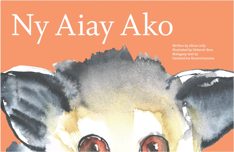 Sappi_Ideas that Matter_Ako the Aye-Aye