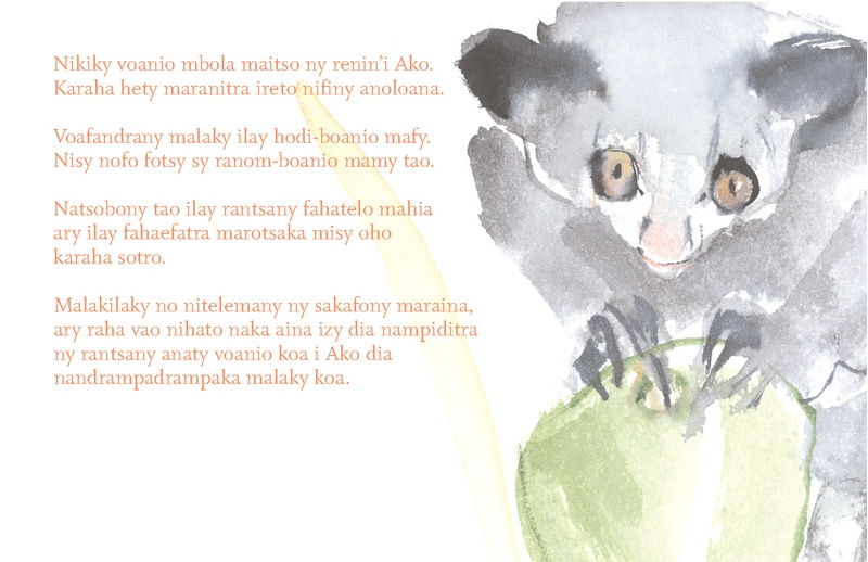 Sappi_Ideas that Matter_Ako the Aye-Aye