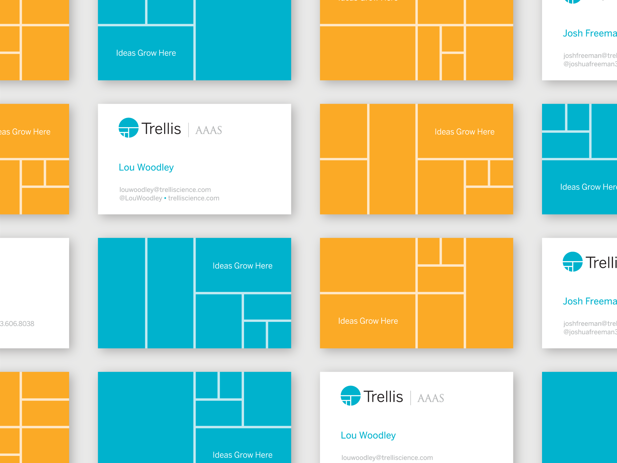 Trellis AAAS Business Cards