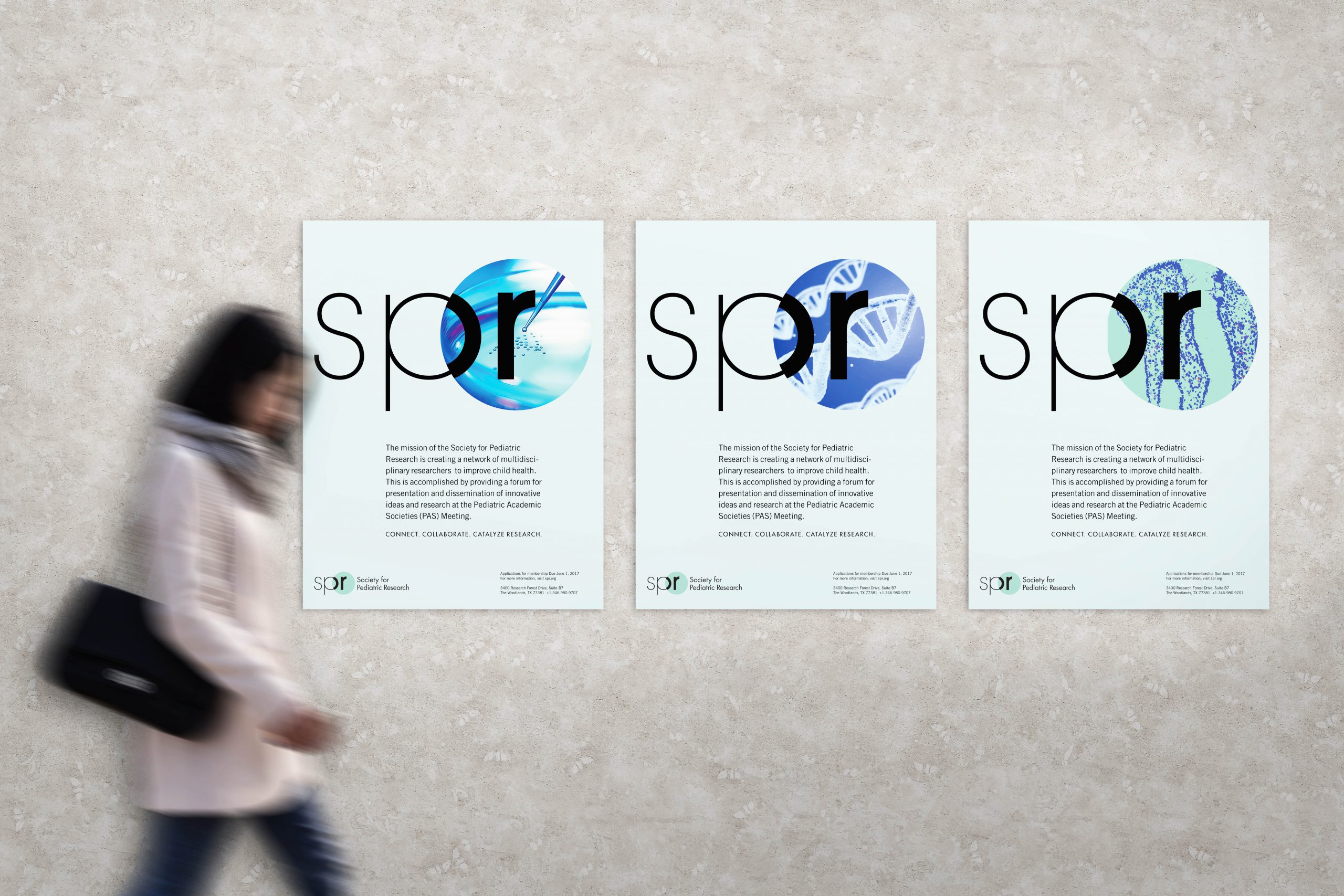 Branding for Society for Pediatric Research