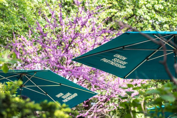 Teal Umbrella at Union Square