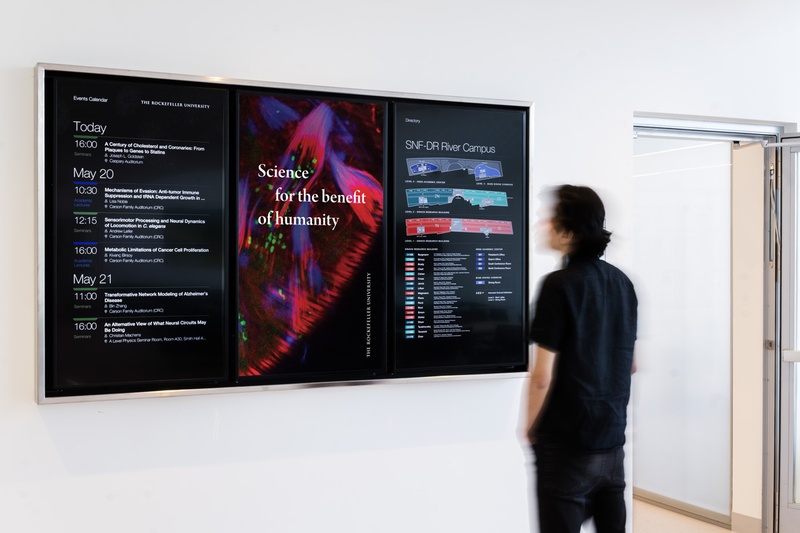 Digital Signage Higher Ed