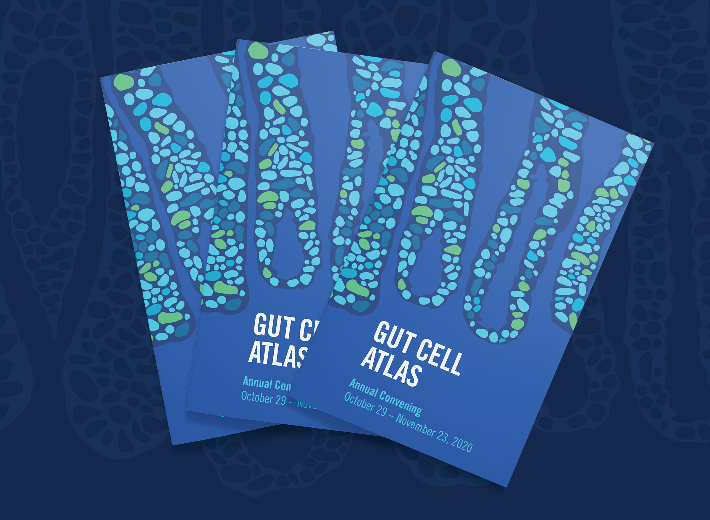 Helmsley_Gut Cell Atlas_Booklet 1