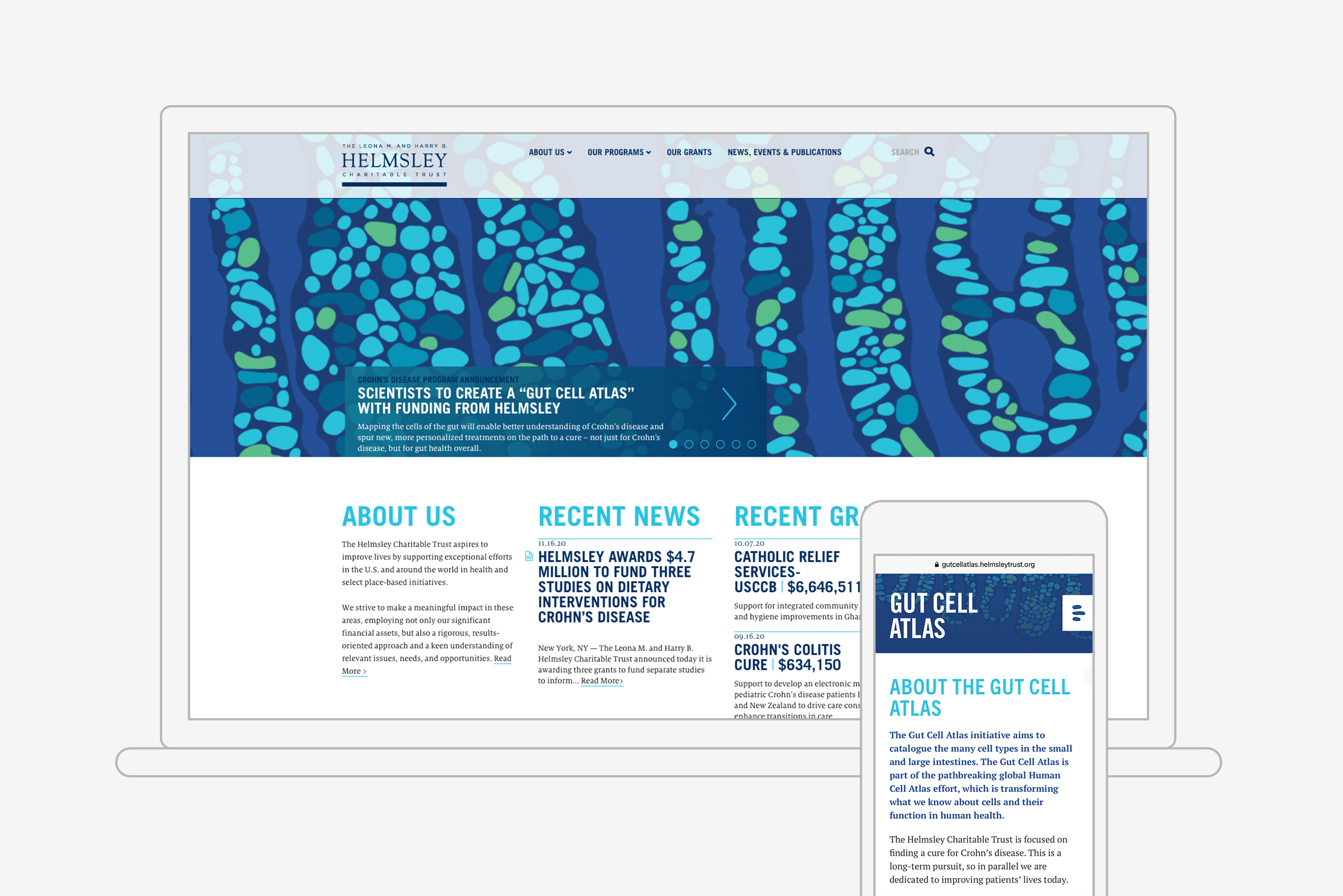 Helmsley_Gut Cell Atlas_Digital 2