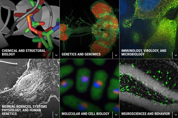 Colors of Science