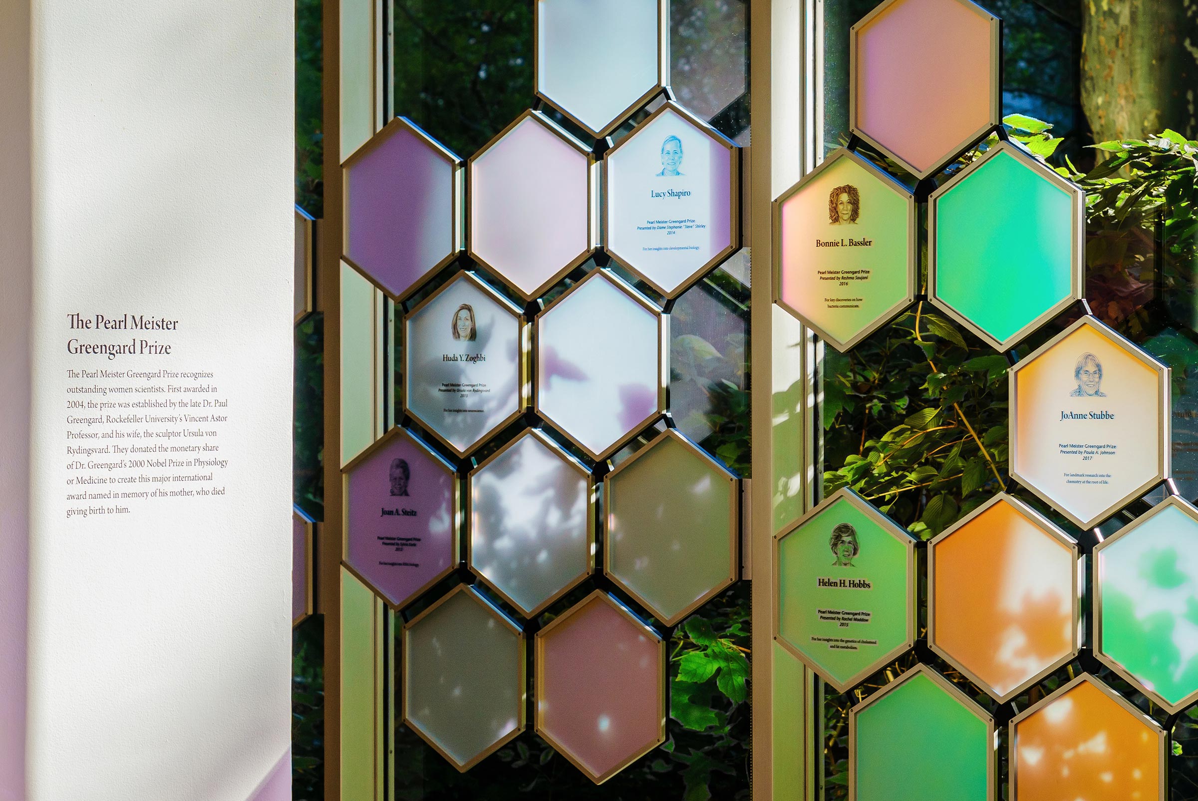 Rockefeller University Pearl Meister Greengard Prize Wall Design