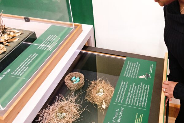 A Visitor Center for the “Lab of O”